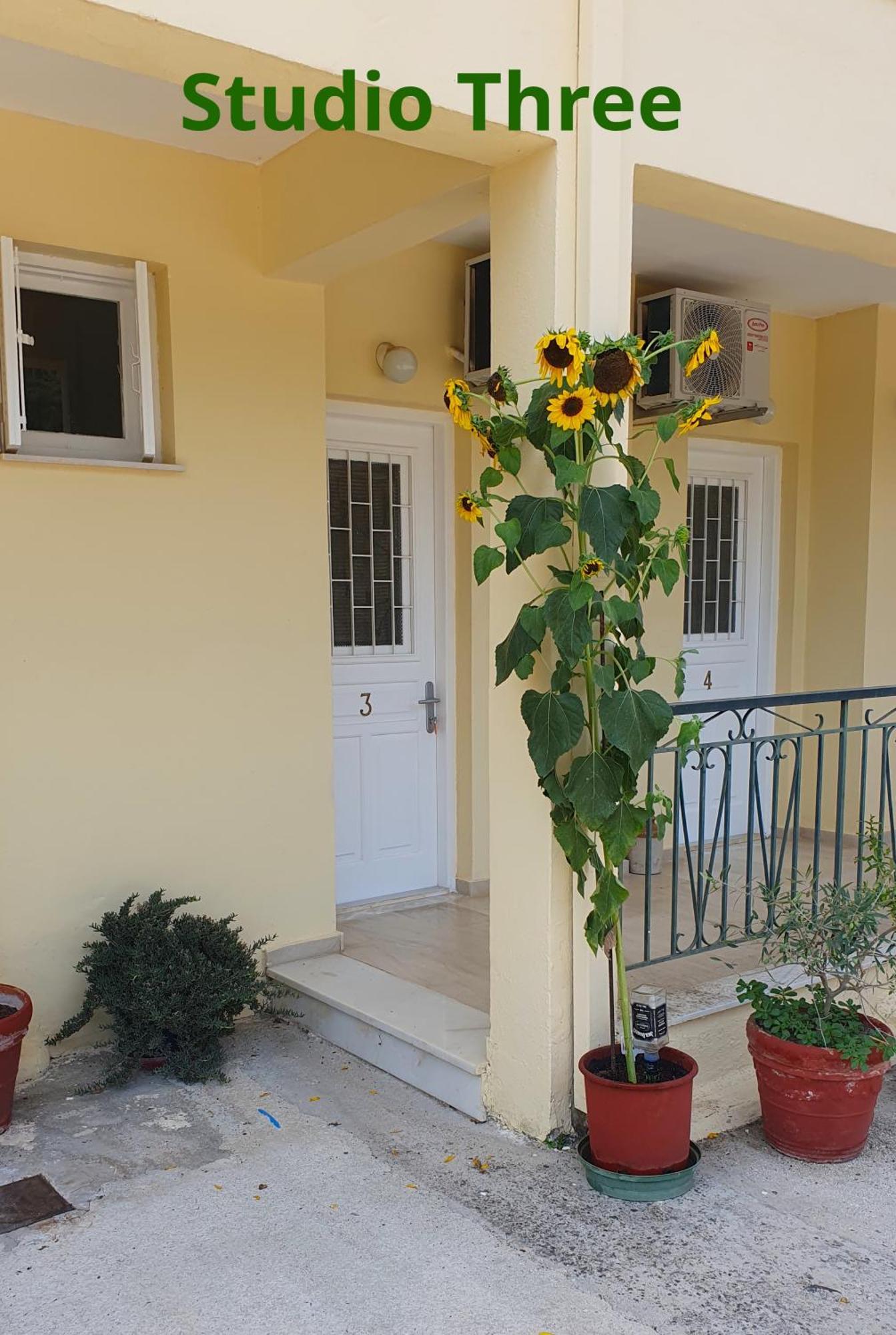Kivotos Villa Studios Roda  Exterior foto